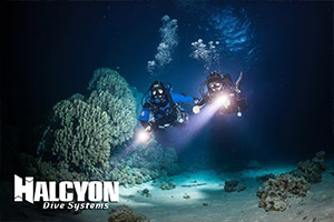Online Dive Gear Sales Shop 14 Online Dive Gear Sales Shop -Online Dive Gear Sales Shop Halcyon Harness